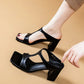 Square Toe Chunky Heel Slippers【Black Only】