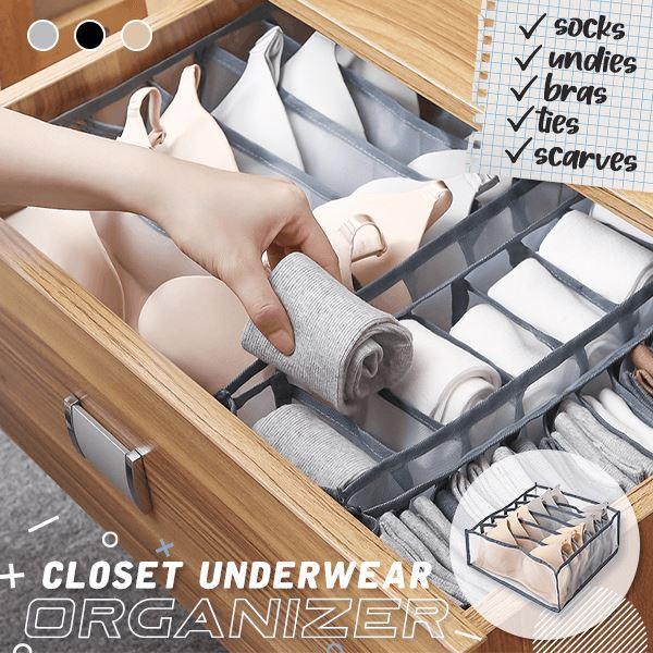 Closet Underwear/Trouser Organizer